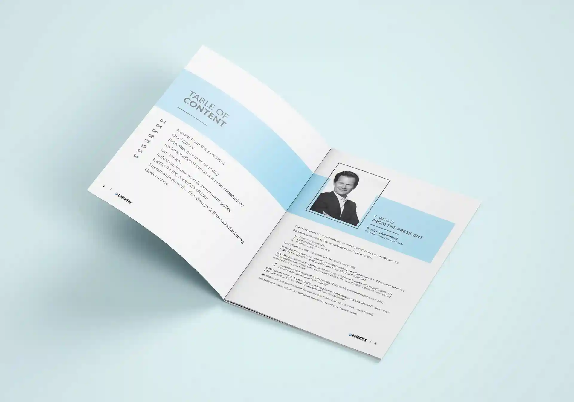 Portfolio Image